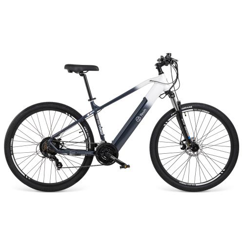 Youin BK3100L MTB EVEREST