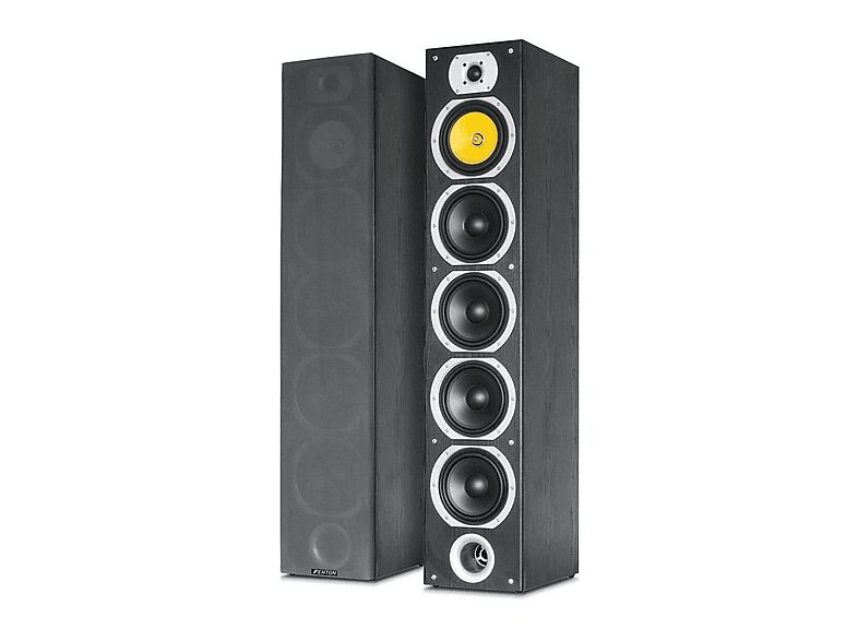 Altavoz de suelo - FENTON SHFT57B, Black