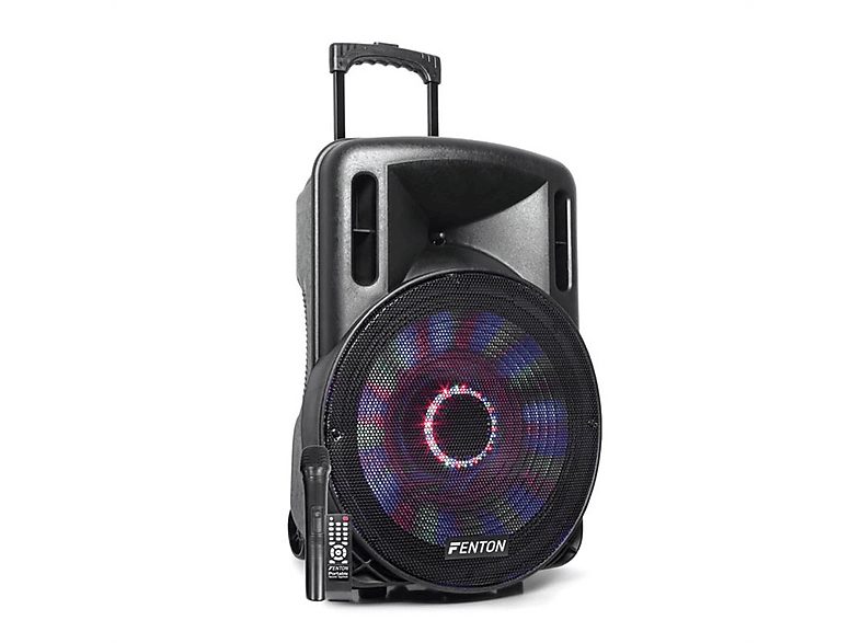 Altavoz de suelo  - FT15LED FENTON, Negro