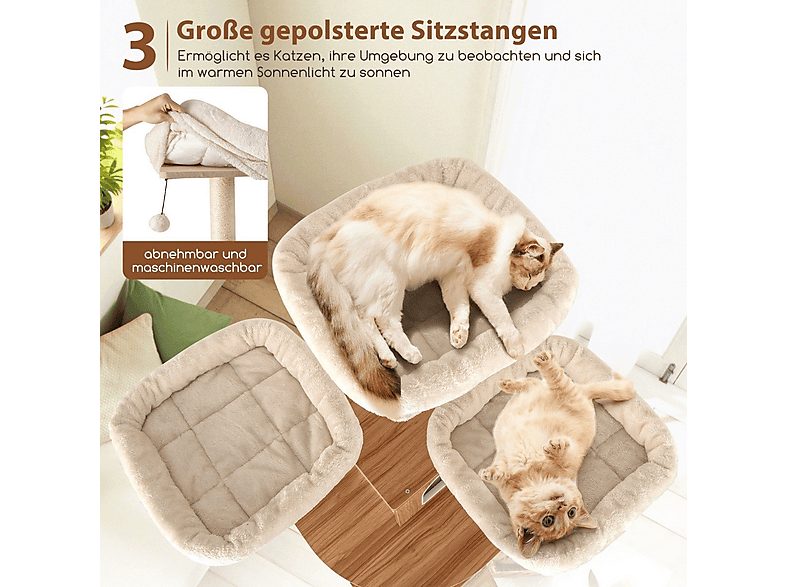 1:arbol-para-gatos-northio-36867-para-gato-beige-1.jpg|2:arbol-para-gatos-northio-36867-para-gato-beige-2.jpg|3:arbol-para-gatos-northio-36867-para-gato-beige-3.jpg|4:arbol-para-gatos-northio-36867-para-gato-beige-4.jpg|5:arbol-para-gatos-northio-36867-pa