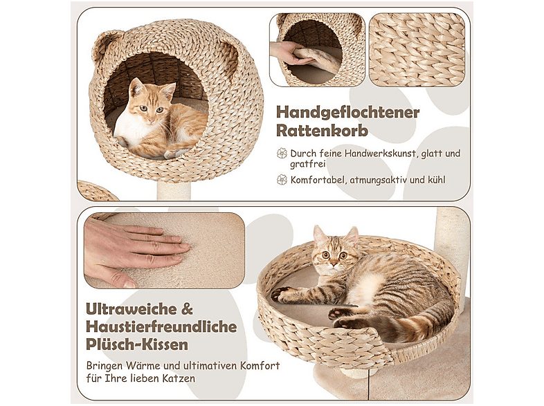 1:arbol-para-gatos-northio-64338-para-gato-natural-1.jpg|2:arbol-para-gatos-northio-64338-para-gato-natural-2.jpg|3:arbol-para-gatos-northio-64338-para-gato-natural-3.jpg|4:arbol-para-gatos-northio-64338-para-gato-natural-4.jpg|5:arbol-para-gatos-northio-