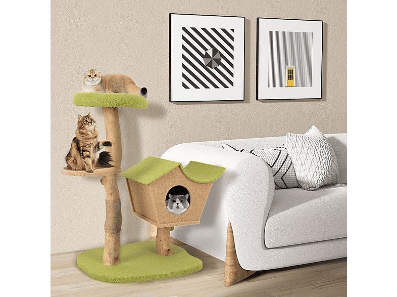 1:arbol-para-gatos-northio-75235-para-gato-verde-1.jpg|2:arbol-para-gatos-northio-75235-para-gato-verde-2.jpg|3:arbol-para-gatos-northio-75235-para-gato-verde-3.jpg|4:arbol-para-gatos-northio-75235-para-gato-verde-4.jpg|5:arbol-para-gatos-northio-75235-pa