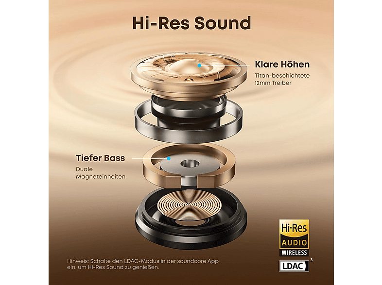 1:auriculares-true-wireless-aeroclip-soundcore-control-remoto-bluetooth-negro-1.jpg|2:auriculares-true-wireless-aeroclip-soundcore-control-remoto-bluetooth-negro-2.jpg|3:auriculares-true-wireless-aeroclip-soundcore-control-remoto-bluetooth-negro-3.jpg|4:a