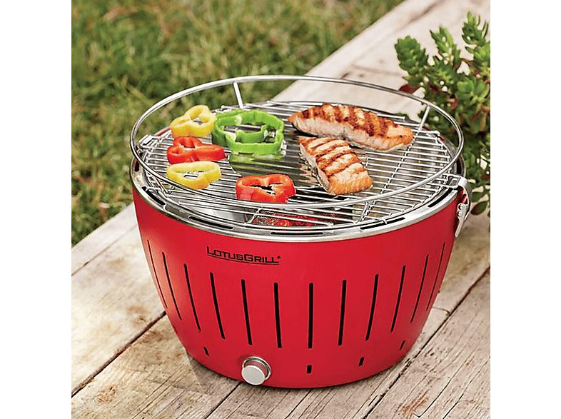 1:barbacoa-de-carbon-lotusgrill-g-ro-34p-rojo-1.jpg|2:barbacoa-de-carbon-lotusgrill-g-ro-34p-rojo-2.jpg|3:barbacoa-de-carbon-lotusgrill-g-ro-34p-rojo-3.jpg|4:barbacoa-de-carbon-lotusgrill-g-ro-34p-rojo-4.jpg|5:barbacoa-de-carbon-lotusgrill-g-ro-34p-rojo-6