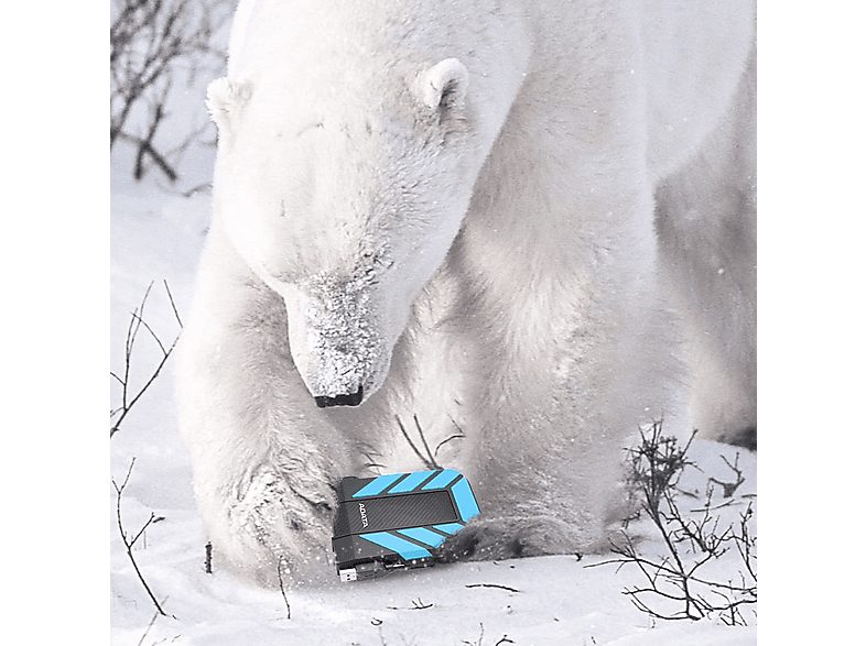 1:disco-duro-externo-2-tb-adata-ahd710p-2tu31-cbl-25-hdd-azul-1.jpg|2:disco-duro-externo-2-tb-adata-ahd710p-2tu31-cbl-25-hdd-azul-2.jpg|3:disco-duro-externo-2-tb-adata-ahd710p-2tu31-cbl-25-hdd-azul-3.jpg|4:disco-duro-externo-2-tb-adata-ahd710p-2tu31-cbl-2