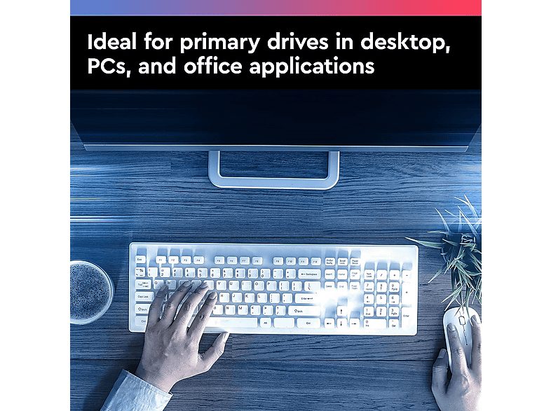 1:disco-duro-interno-6-tb-western-digital-wd60ezax-interno-azul-1.jpg|2:disco-duro-interno-6-tb-western-digital-wd60ezax-interno-azul-2.jpg|3:disco-duro-interno-6-tb-western-digital-wd60ezax-interno-azul-3.jpg|4:disco-duro-interno-6-tb-western-digital-wd6