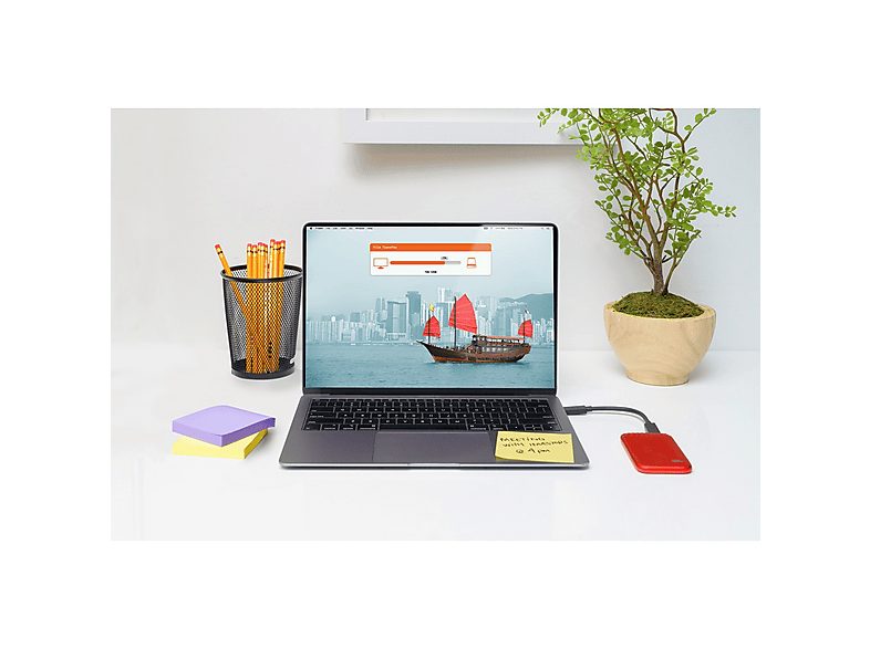 1:disco-duro-ssd-externo-1-tb-wd-my-passport-ssd-portatil-lectura-1050-mbs-usb-32-para-windows-y-mac-rojo-1.jpg|2:disco-duro-ssd-externo-1-tb-wd-my-passport-ssd-portatil-lectura-1050-mbs-usb-32-para-windows-y-mac-rojo-2.jpg|3:disco-duro-ssd-externo-1-tb-w