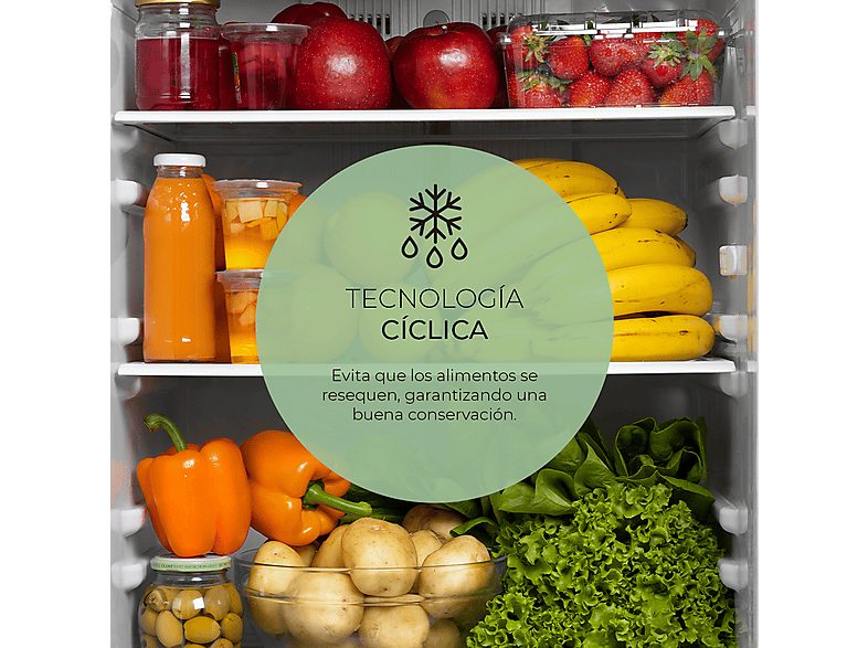 1:frigorifico-combi-svan-sc185502e-altura-1800-mm-capacidad-262-l-blanco-1.jpg|2:frigorifico-combi-svan-sc185502e-altura-1800-mm-capacidad-262-l-blanco-2.jpg|3:frigorifico-combi-svan-sc185502e-altura-1800-mm-capacidad-262-l-blanco-3.jpg|4:frigorifico-comb