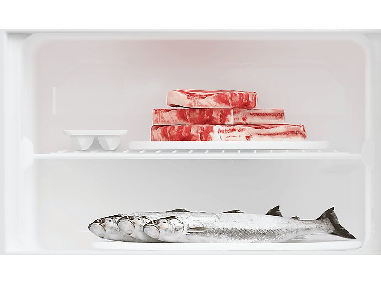 1:frigorifico-dos-puertas-beko-rdsa280k40wn-ciclico-altura-1606-mm-capacidad-280-l-blanco-1.jpg|2:frigorifico-dos-puertas-beko-rdsa280k40wn-ciclico-altura-1606-mm-capacidad-280-l-blanco-2.jpg|3:frigorifico-dos-puertas-beko-rdsa280k40wn-ciclico-altura-1606