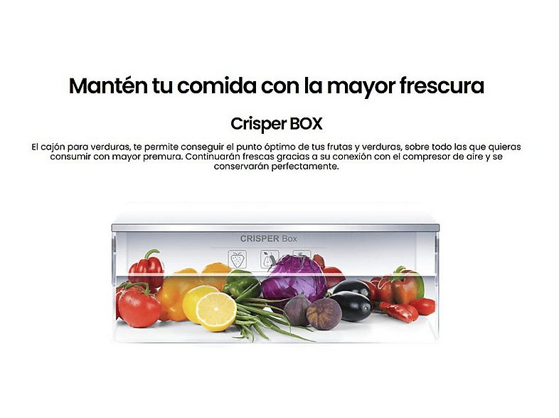 1:frigorifico-dos-puertas-infiniton-fg-239d16xev2-ciclico-altura-1600-mm-capacidad-239-l-inox-1.jpg|2:frigorifico-dos-puertas-infiniton-fg-239d16xev2-ciclico-altura-1600-mm-capacidad-239-l-inox-2.jpg|3:frigorifico-dos-puertas-infiniton-fg-239d16xev2-cicli