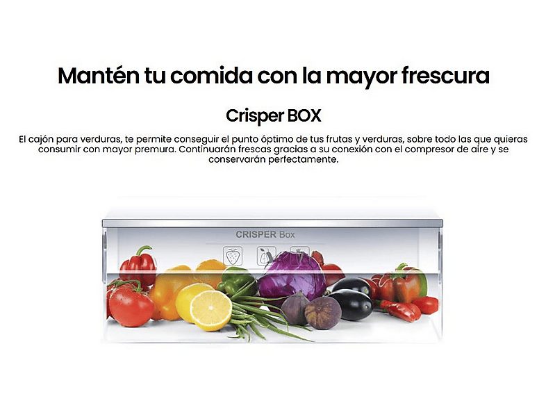 1:frigorifico-dos-puertas-infiniton-fg-a145i-ciclico-altura-143-cm-capacidad-200-l-inox-1.jpg|2:frigorifico-dos-puertas-infiniton-fg-a145i-ciclico-altura-143-cm-capacidad-200-l-inox-2.jpg|3:frigorifico-dos-puertas-infiniton-fg-a145i-ciclico-altura-143-cm-