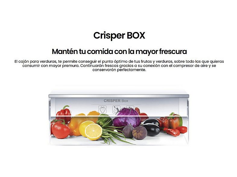 1:frigorifico-dos-puertas-infiniton-fg-a82i2p-ciclico-altura-850-mm-capacidad-85-l-inox-1.jpg|2:frigorifico-dos-puertas-infiniton-fg-a82i2p-ciclico-altura-850-mm-capacidad-85-l-inox-2.jpg|3:frigorifico-dos-puertas-infiniton-fg-a82i2p-ciclico-altura-850-mm