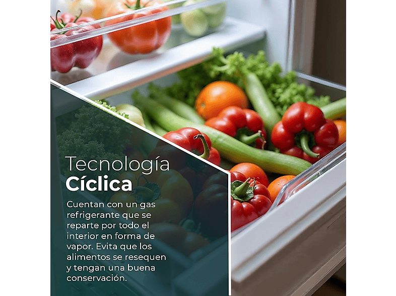 1:frigorifico-dos-puertas-svan-sf165501e-altura-1610-cm-capacidad-243-l-blanco-1.jpg|2:frigorifico-dos-puertas-svan-sf165501e-altura-1610-cm-capacidad-243-l-blanco-2.jpg|3:frigorifico-dos-puertas-svan-sf165501e-altura-1610-cm-capacidad-243-l-blanco-3.jpg|