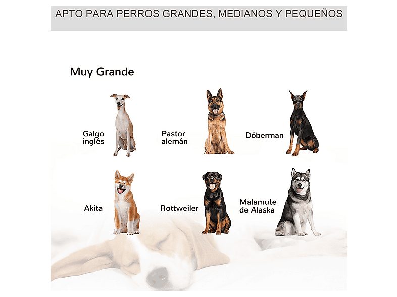 1:jaula-de-transporte-para-perro-pawhut-d02-052v02-para-perro-carga-maxima-40-kg-gris-oscuro-1.jpg|2:jaula-de-transporte-para-perro-pawhut-d02-052v02-para-perro-carga-maxima-40-kg-gris-oscuro-2.jpg|3:jaula-de-transporte-para-perro-pawhut-d02-052v02-para-p