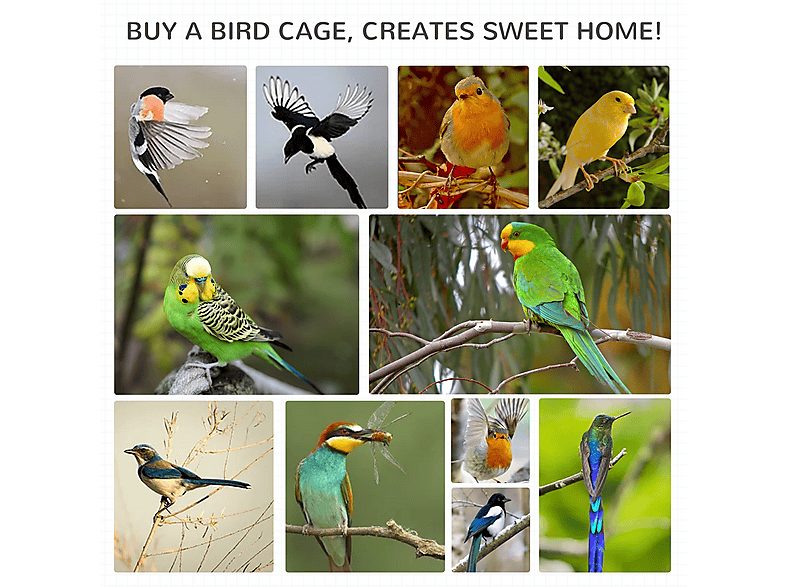 1:jaula-para-pajaros-pawhut-d10-050v01yl-para-pajaro-madera-natural-1.jpg|2:jaula-para-pajaros-pawhut-d10-050v01yl-para-pajaro-madera-natural-2.jpg|3:jaula-para-pajaros-pawhut-d10-050v01yl-para-pajaro-madera-natural-3.jpg|4:jaula-para-pajaros-pawhut-d10-0