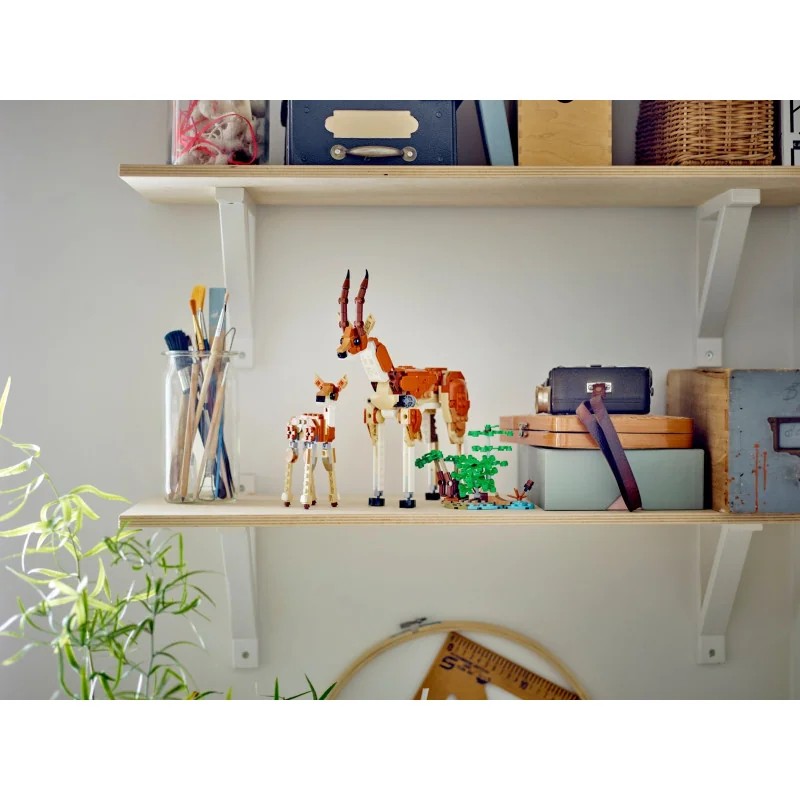 1:lego-31150-safari-de-animales-salvajes-1.jpg|2:lego-31150-safari-de-animales-salvajes-2.jpg|3:lego-31150-safari-de-animales-salvajes-3.jpg|4:lego-31150-safari-de-animales-salvajes-4.jpg|5:lego-31150-safari-de-animales-salvajes-5.jpg|6:lego-31150-safari-