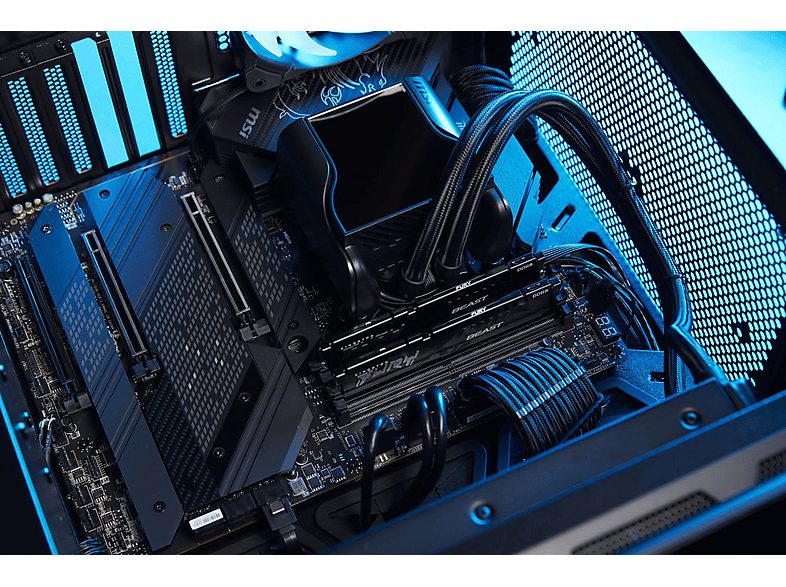 1:memoria-ram-kingston-technology-kf556c36bbe-8-1.jpg|2:memoria-ram-kingston-technology-kf556c36bbe-8-2.jpg|3:memoria-ram-kingston-technology-kf556c36bbe-8-3.jpg|4:memoria-ram-kingston-technology-kf556c36bbe-8-4.jpg|5:memoria-ram-kingston-technology-kf556