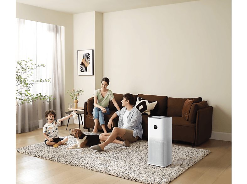 1:purificador-de-aire-xiaomi-bhr5056eu-50-w-tecnologia-dual-1-l-blanco-1.jpg|2:purificador-de-aire-xiaomi-bhr5056eu-50-w-tecnologia-dual-1-l-blanco-2.jpg|3:purificador-de-aire-xiaomi-bhr5056eu-50-w-tecnologia-dual-1-l-blanco-3.jpg|4:purificador-de-aire-xi