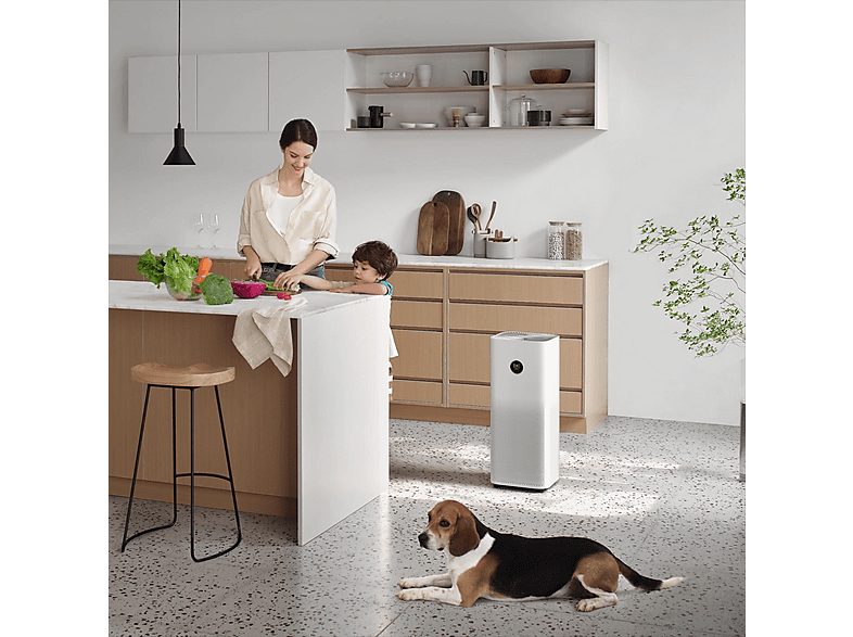 1:purificador-de-aire-xiaomi-bhr5056eu-50-w-tecnologia-dual-1-l-blanco-1.jpg|2:purificador-de-aire-xiaomi-bhr5056eu-50-w-tecnologia-dual-1-l-blanco-2.jpg|3:purificador-de-aire-xiaomi-bhr5056eu-50-w-tecnologia-dual-1-l-blanco-3.jpg|4:purificador-de-aire-xi