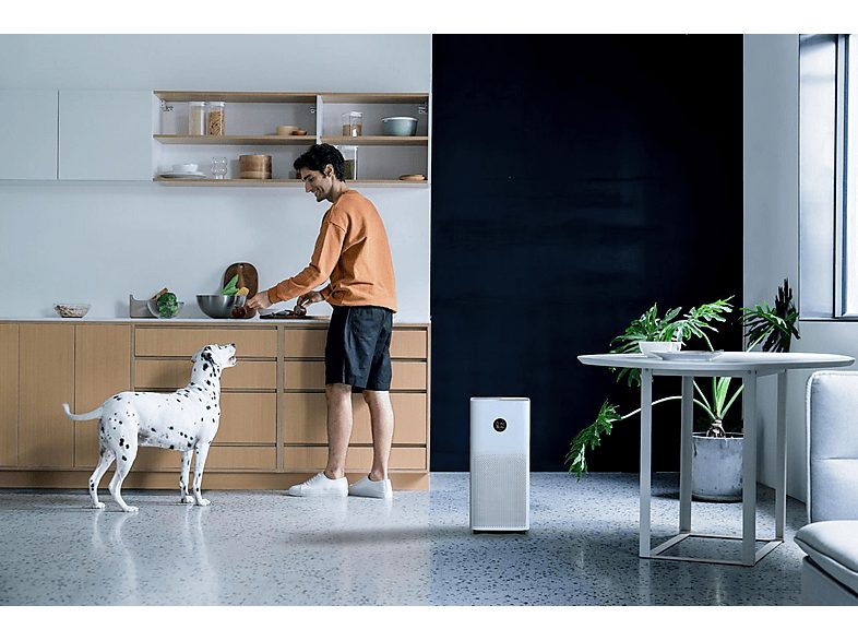 1:purificador-de-aire-xiaomi-bhr5096gl-30-w-tecnologia-dual-blanco-1.jpg|2:purificador-de-aire-xiaomi-bhr5096gl-30-w-tecnologia-dual-blanco-2.jpg|3:purificador-de-aire-xiaomi-bhr5096gl-30-w-tecnologia-dual-blanco-3.jpg|4:purificador-de-aire-xiaomi-bhr5096